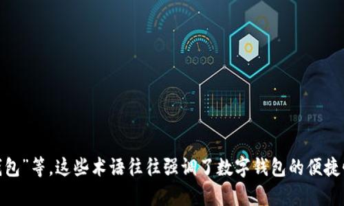 数字钱包的雅称一般被称为“电子钱包”或“虚拟钱包”。在一些特定的语境中，数字钱包也可能被称为“移动钱包”、“智能钱包”等。这些术语往往强调了数字钱包的便捷性、安全性和智能化特点。不同的地区或文化背景可能会对数字钱包有不同的称呼，但“电子钱包”是一个较为通用的称谓。