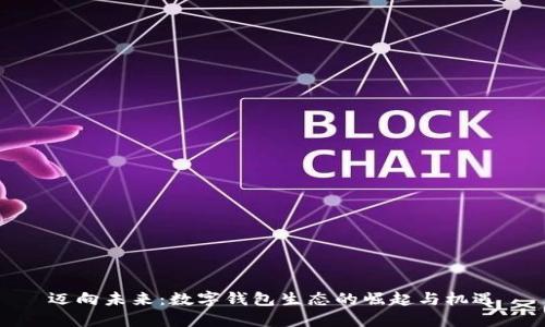 迈向未来：数字钱包生态的崛起与机遇