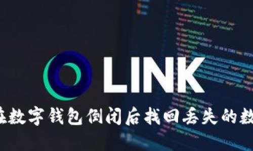 如何在数字钱包倒闭后找回丢失的数字币?