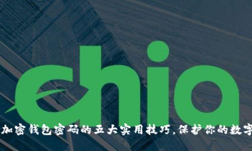 手机加密钱包密码的五大实用技巧,保护你的数字资产