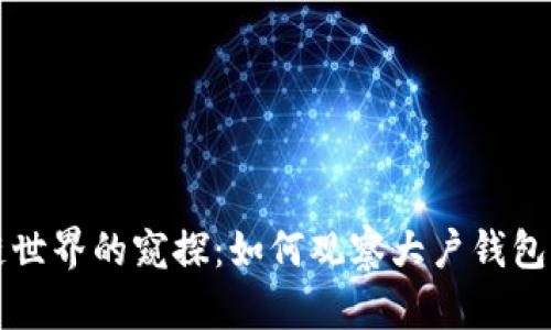 区块链世界的窥探：如何观察大户钱包的动态