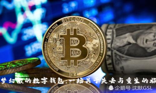 如梦幻般的数字钱包:一场关于失去与重生的旅程