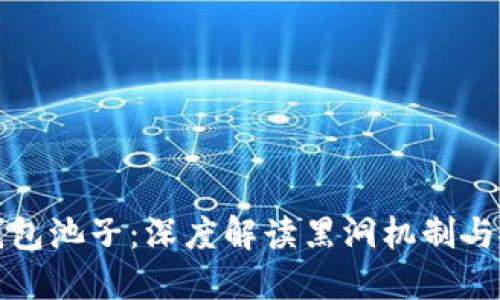 揭秘TP钱包池子：深度解读黑洞机制与投资策略