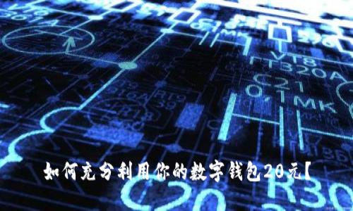 如何充分利用你的数字钱包20元?