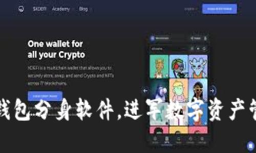 如何使用TP钱包分身软件,进军数字资产管理的新时代