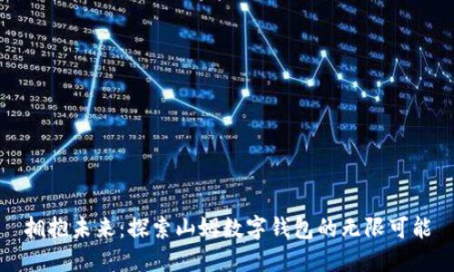 拥抱未来：探索山姆数字钱包的无限可能