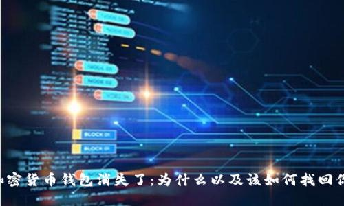 当你的加密货币钱包消失了:为什么以及该如何找回你的资产?