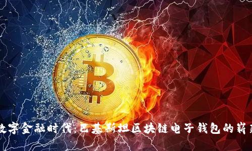 开启数字金融时代：巴基斯坦区块链电子钱包的崭新未来
