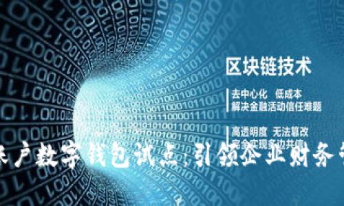 探索对公账户数字钱包试点：引领企业财务管理新潮流