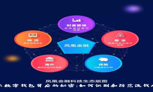 揭示数字钱包背后的秘密：如何识别和防范洗钱风险