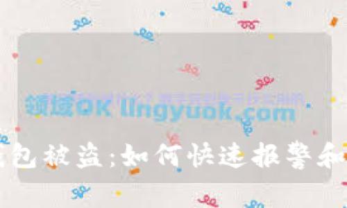 区块链钱包被盗:如何快速报警和保护资产
