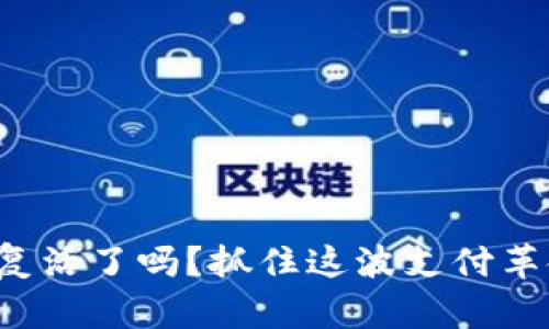 数字钱包复活了吗？抓住这波支付革命的浪潮！