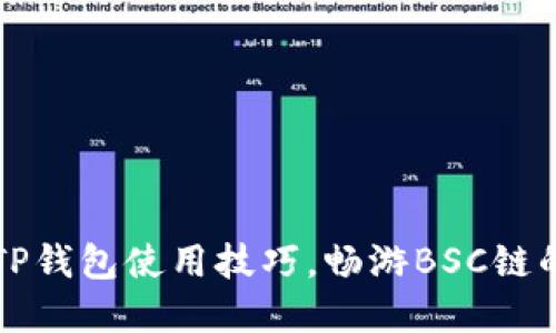 轻松掌握TP钱包使用技巧,畅游BSC链的无限可能