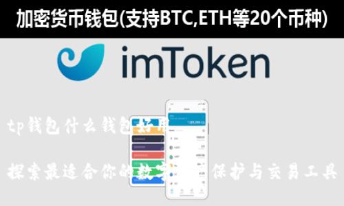 tp钱包什么钱包好用

探索最适合你的数字资产保护与交易工具