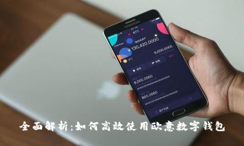全面解析：如何高效使用欧意数字钱包