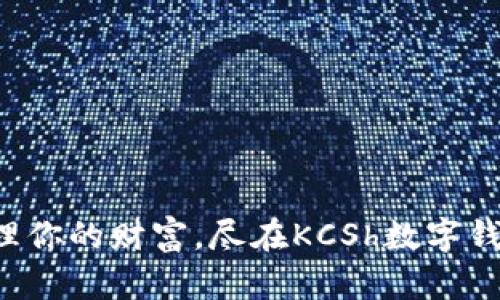 轻松管理你的财富，尽在KCSh数字钱包下载！