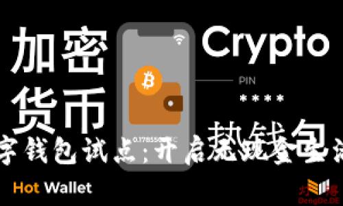 深圳数字钱包试点：开启无现金生活新篇章
