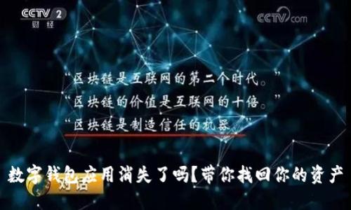 数字钱包应用消失了吗？带你找回你的资产