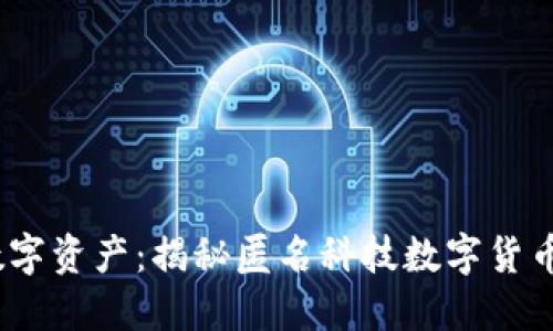 安全无忧，掌握数字资产：揭秘匿名科技数字货币钱包托管的未来