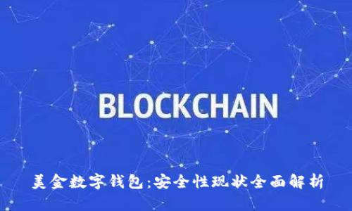 美金数字钱包：安全性现状全面解析