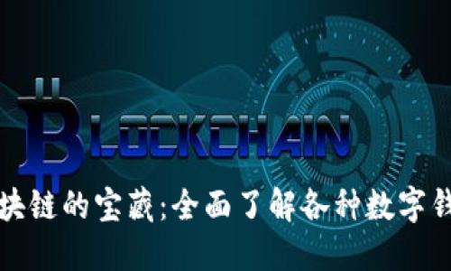探索区块链的宝藏：全面了解各种数字钱包类型