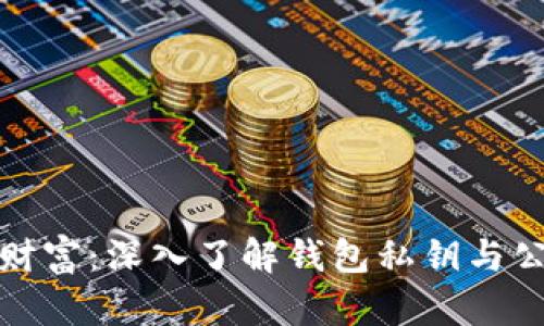 解锁数字财富：深入了解钱包私钥与公钥的奥秘