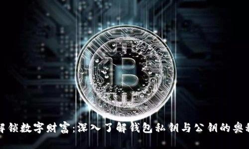 解锁数字财富：深入了解钱包私钥与公钥的奥秘