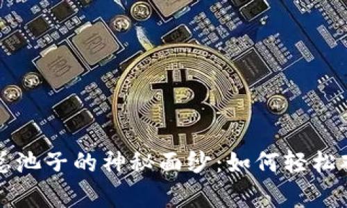 揭开TP钱包总池子的神秘面纱:如何轻松观察资产动态