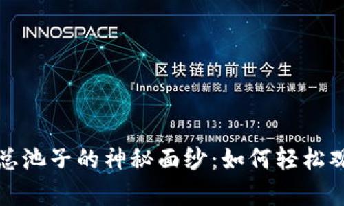 揭开TP钱包总池子的神秘面纱:如何轻松观察资产动态