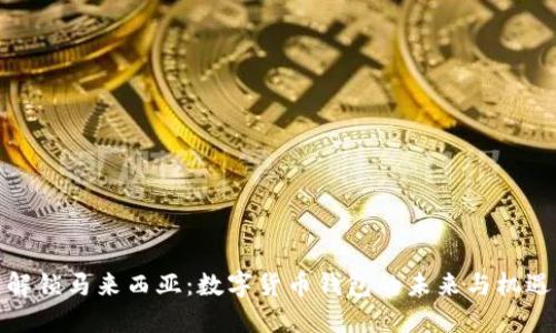 解锁马来西亚:数字货币钱包的未来与机遇
