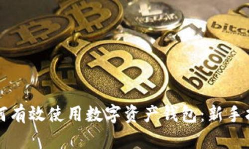如何有效使用数字资产钱包:新手指南