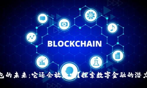 数字钱包的未来:它还会放款吗?探索数字金融的潜力与风险