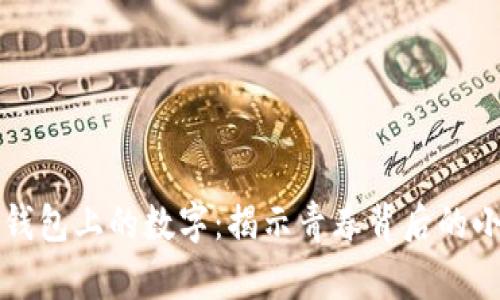 学生钱包上的数字：揭示青春背后的小秘密