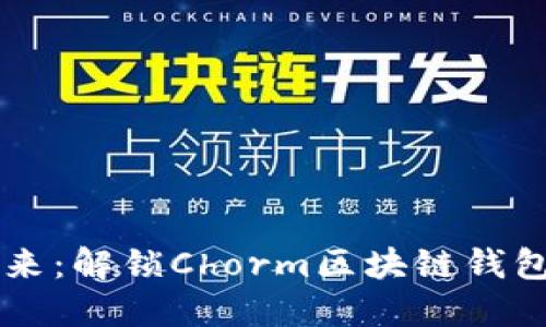 携手未来:解锁Chorm区块链钱包的潜力