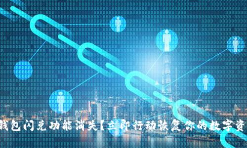 TP钱包闪兑功能消失?立即行动恢复你的数字资产!