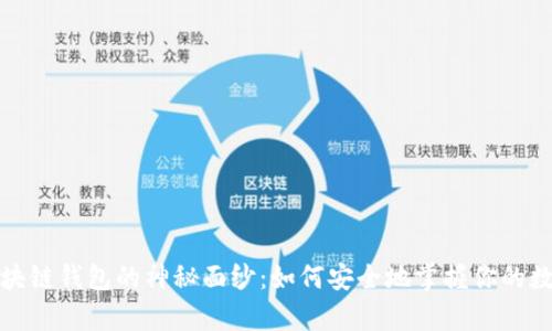 揭开区块链钱包的神秘面纱：如何安全地掌握你的数字财富