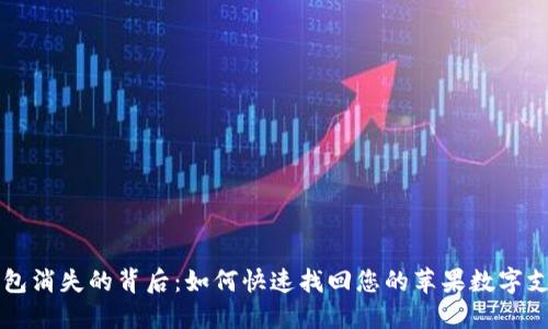 数字钱包消失的背后：如何快速找回您的苹果数字支付入口