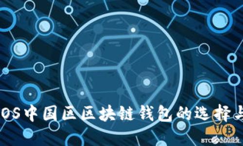 深入了解iOS中国区区块链钱包的选择与使用攻略
