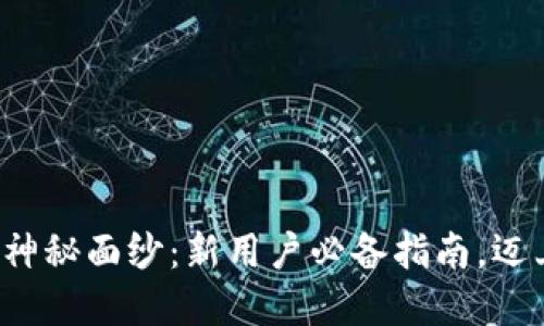 揭开数字钱包的神秘面纱:新用户必备指南,迈上智能支付之路!