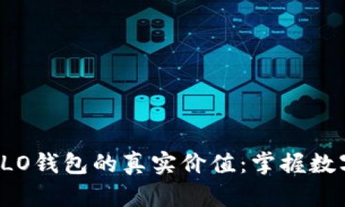 探索区块链OLO钱包的真实价值:掌握数字资产的未来