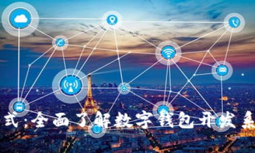 打造未来支付方式:全面了解数字钱包开发系统的潜力与应用