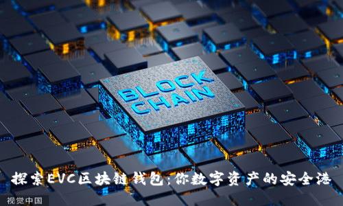 探索EVC区块链钱包：你数字资产的安全港