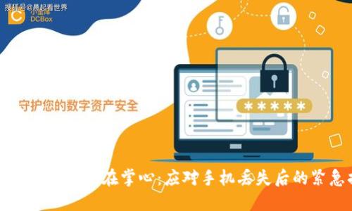 当数字钱包消失在掌心：应对手机丢失后的紧急措施