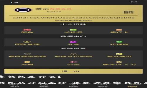 收款方数字钱包是什么？

揭开数字钱包的神秘面纱：收款方数字钱包的深度解析