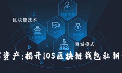 : 掌控数字资产:揭开iOS区块链钱包私钥生成的秘密