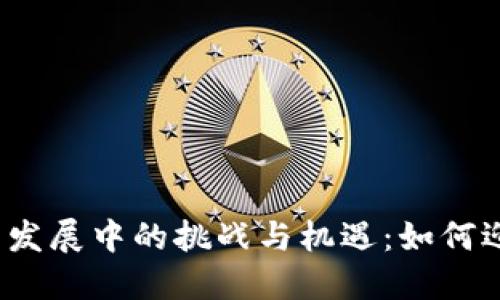 数字钱包发展中的挑战与机遇:如何迎接未来?