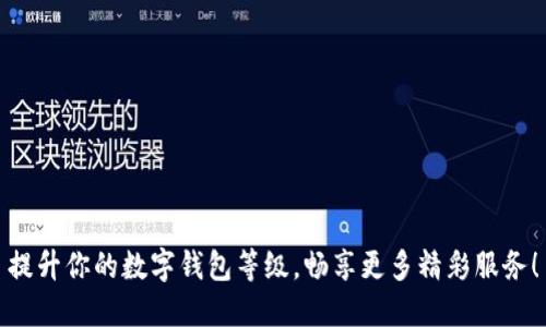 提升你的数字钱包等级,畅享更多精彩服务!