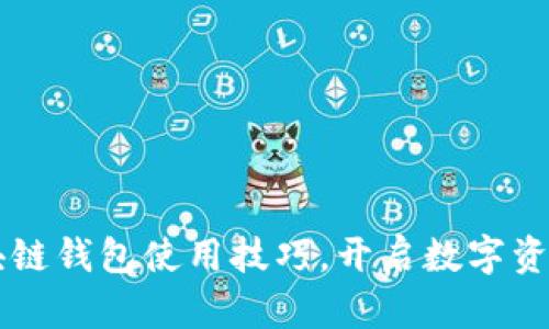 掌握中国区块链钱包使用技巧,开启数字资产管理新篇章