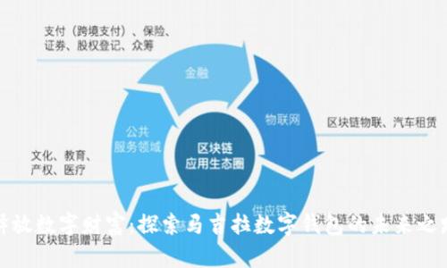 释放数字财富:探索马吉拉数字钱包的未来之路