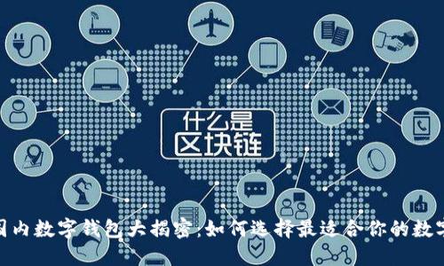 题目:2023年国内数字钱包大揭密:如何选择最适合你的数字资产保护工具